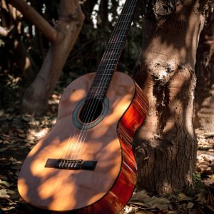 Guitar, Drums, Accessories in Nepal classical guitar fender